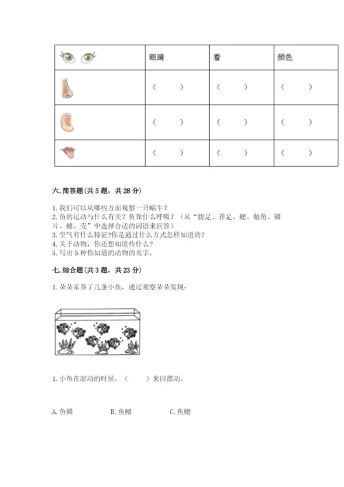 教科版小学科学一年级下册期末测试卷及1套完整答案.docx