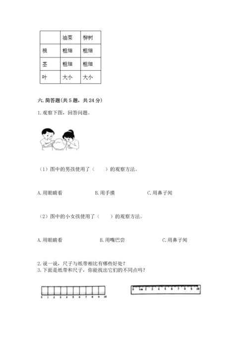 教科版一年级上册科学期末测试卷新版.docx