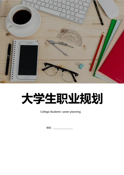 个人职业生涯规划范例