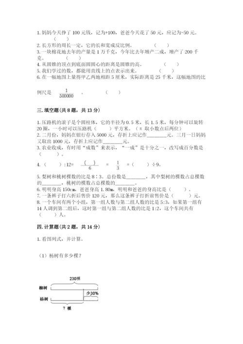玛多县六年级下册数学期末测试卷（模拟题）.docx