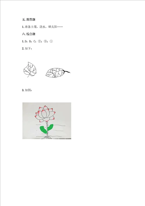 教科版科学一年级上册第一单元植物测试卷附答案考试直接用