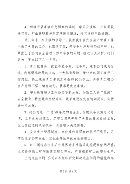 国有大型铜业联合企业安全工作汇报.docx