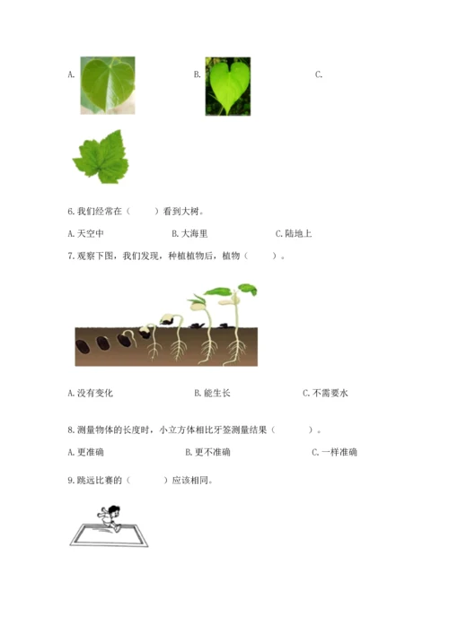 教科版一年级上册科学期末测试卷（b卷）.docx
