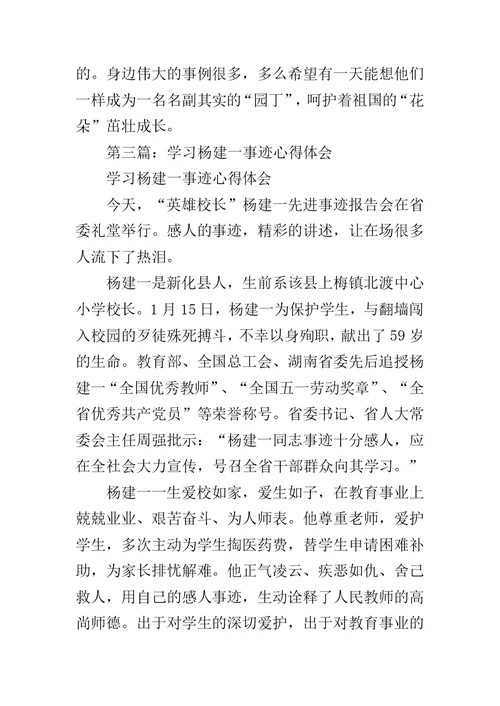 学习杨建一心得体会范文
