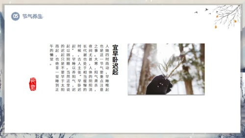 大寒节气山村通用PPT模板