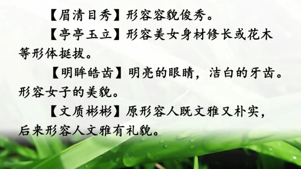 统编版语文四年级上册 第八单元 语文园地八     课件