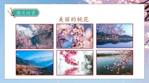 【核心素养】部编版语文四年级下册-4.三月桃花水（课件）