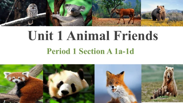 Unit 1 Animal Friends Section A 1a-1d课件+内嵌音视频-2024