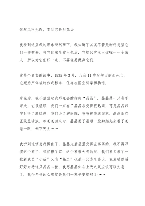 观忠犬八公优秀心得10篇.docx