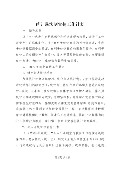 统计局法制宣传工作计划.docx