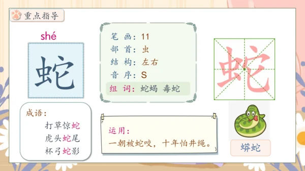 【核心素养】部编版语文四年级下册-13.猫 第1课时（课件）