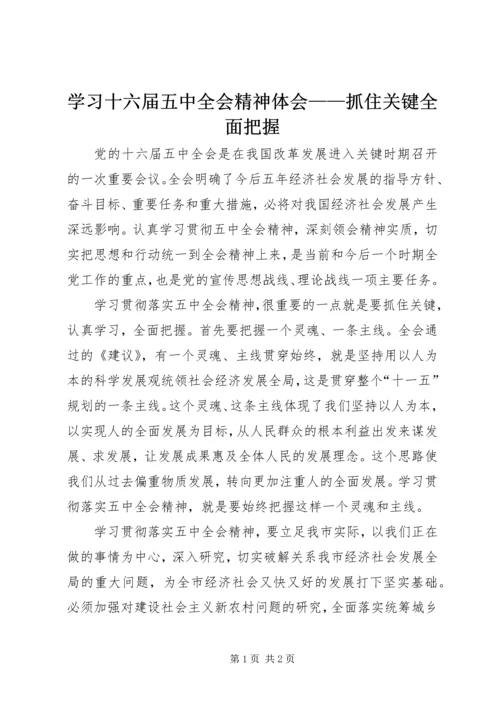 学习十六届五中全会精神体会——抓住关键全面把握 (4).docx