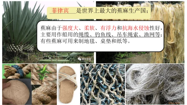 7.2 东南亚（课件53张）-七年级地理下册（人教版）