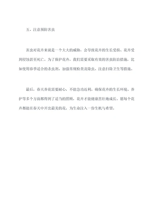 春天养花小妙招