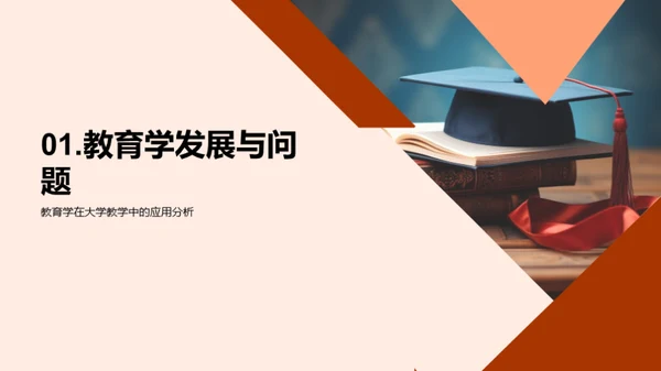 教育学在大学教学的应用