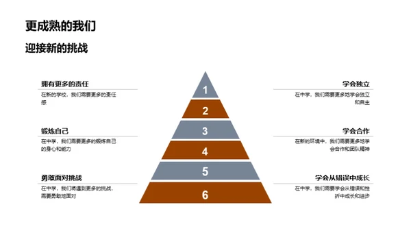 小学岁月新起航