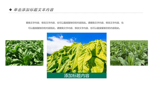 中国人寿保险公司年中工作总结工作计划PPT