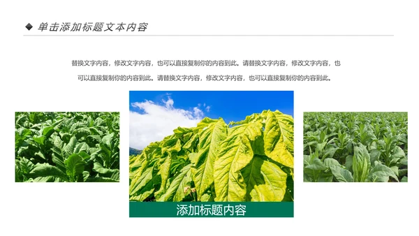 中国人寿保险公司年中工作总结工作计划PPT