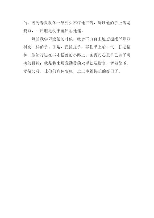 姥爷作文450字0.docx