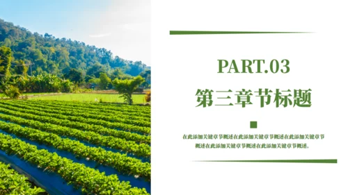 乡村振兴精准扶贫，特色农业项目计划书通用PPT模板