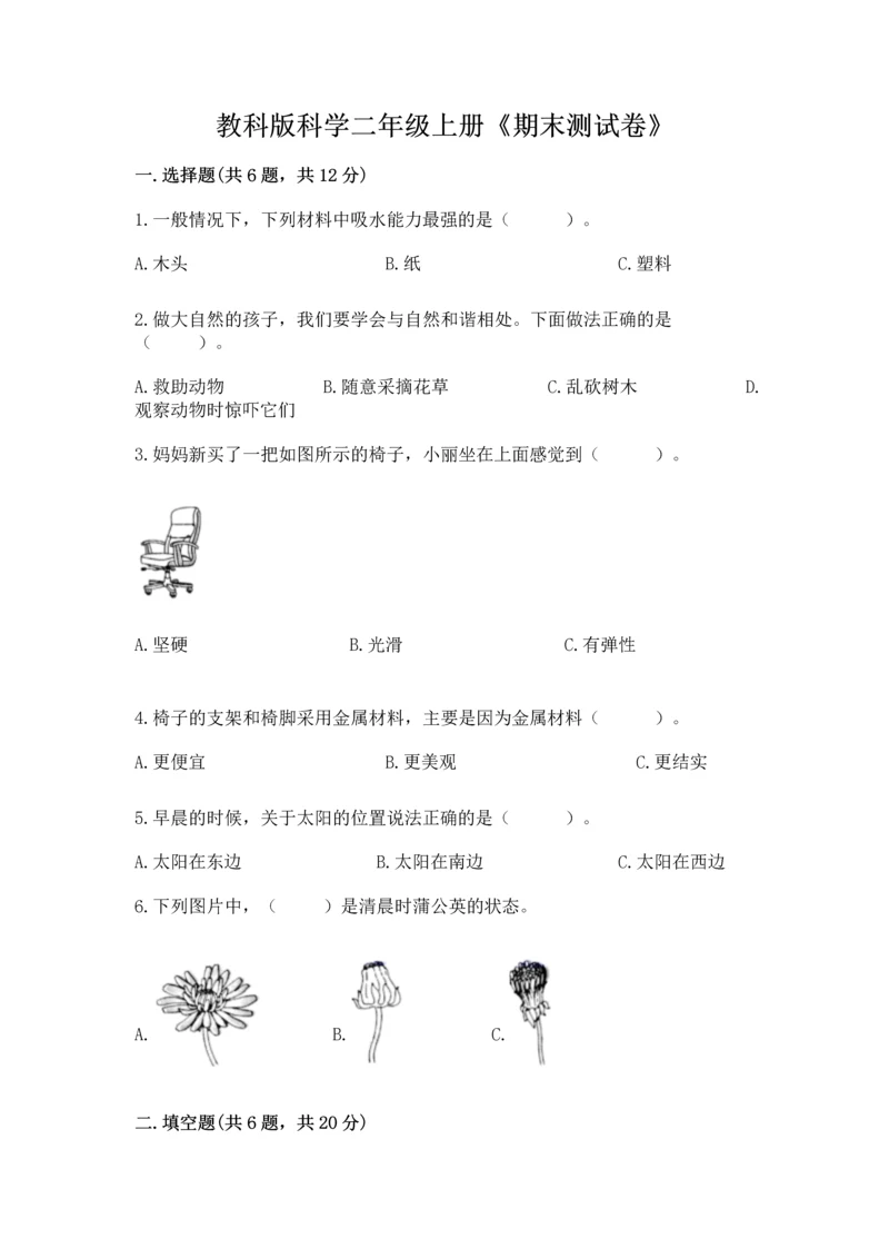 教科版科学二年级上册《期末测试卷》（实用）word版.docx