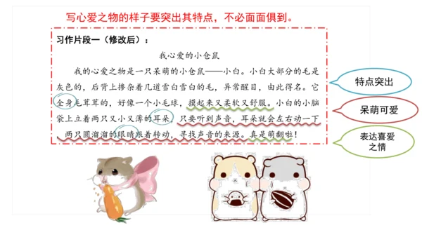 统编版语文五年级上册第一单元习作：我的心爱之物 课件