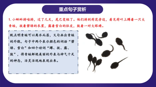 统编版2023-2024学年二年级语文上册单元复习第一单元（复习课件）