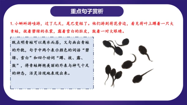 统编版2023-2024学年二年级语文上册单元复习第一单元（复习课件）