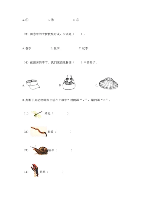 教科版科学二年级上册《期末测试卷》精编答案.docx