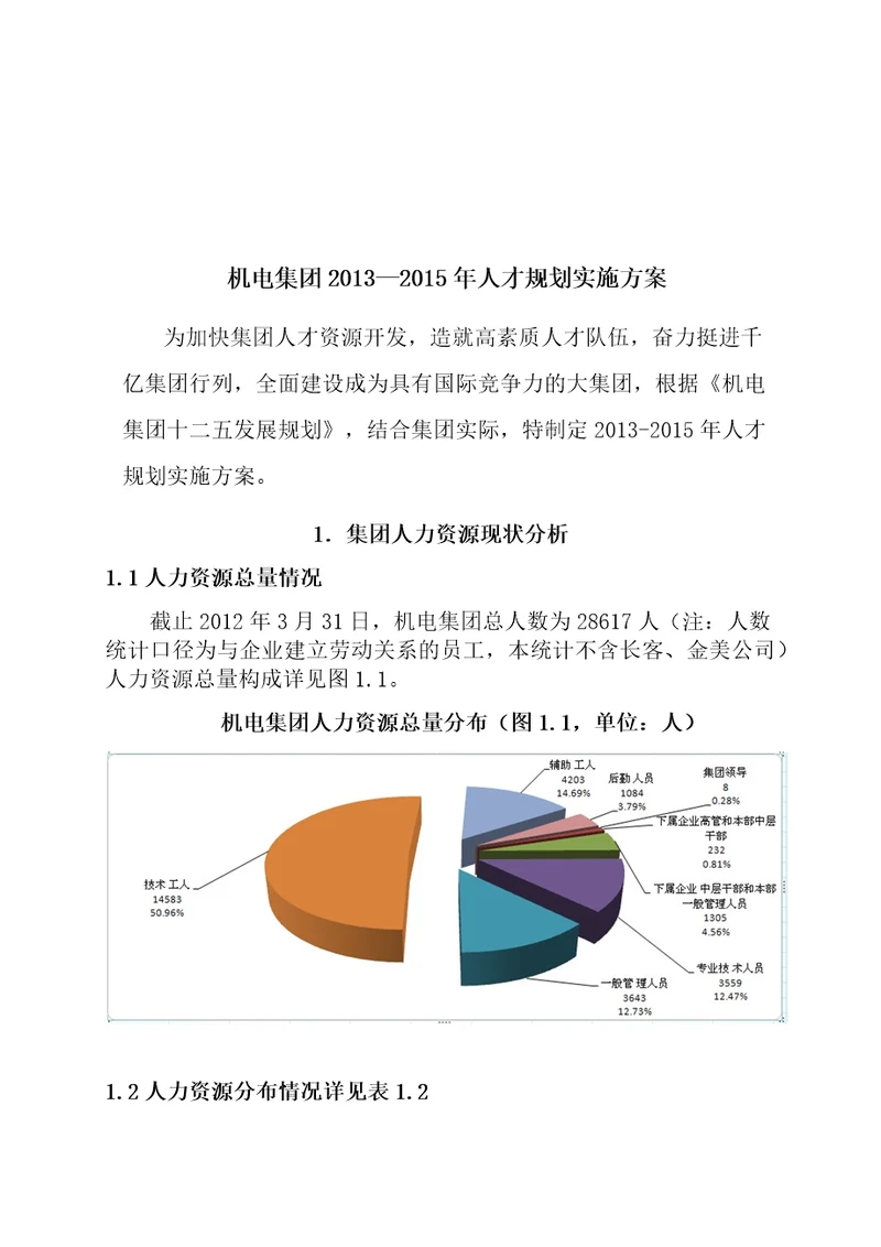 人才规划实施方案