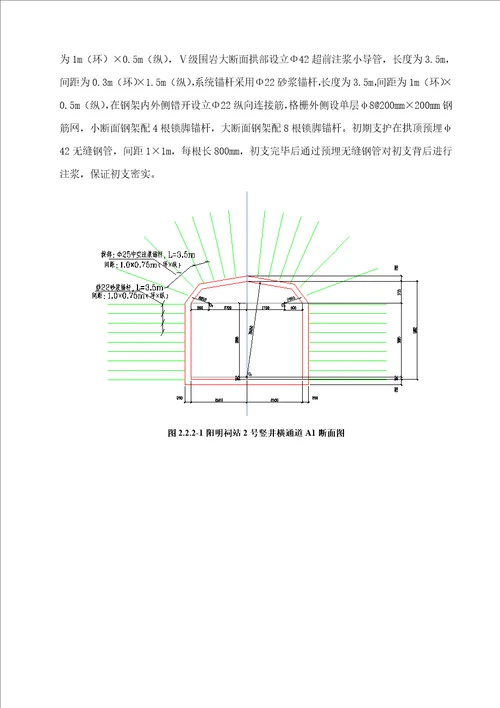 阳明祠站临时施工通道下穿泄水隧洞施工方案样本