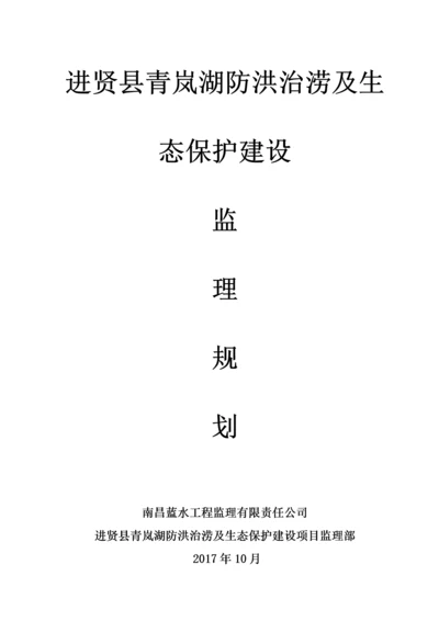 防洪工程监理规划.docx