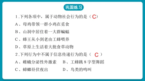 5.2.3社会行为课件-人教版生物八年级上册