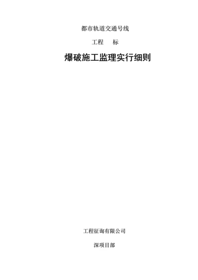 爆破关键工程综合施工监理标准细则.docx