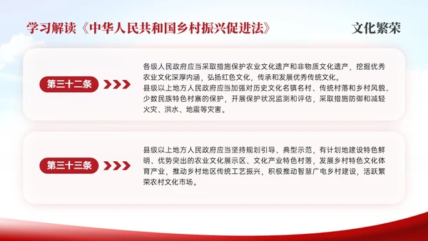 红色简约乡村振兴促进法解读学习PPT模板