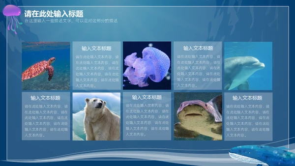 6月8日世界海洋日保护鲨鱼通用PPT模板
