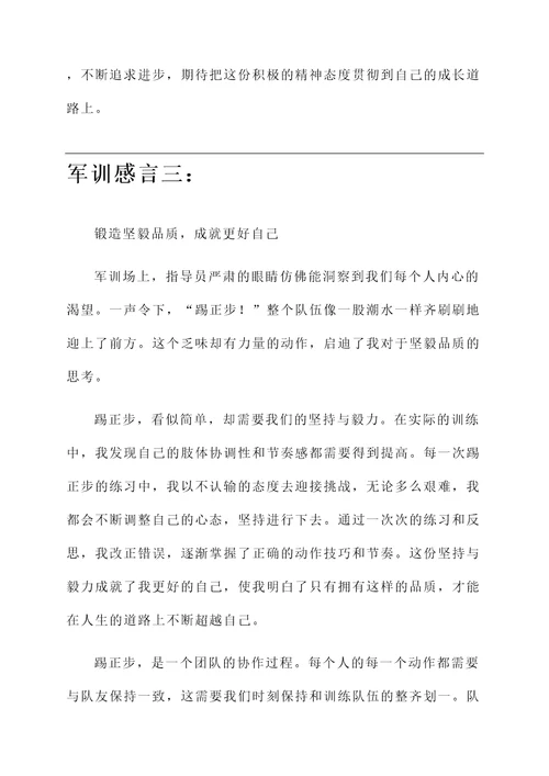 关于踢正步的军训感言