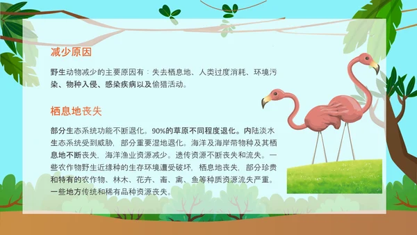 野生动物保护公益活动PPT模板