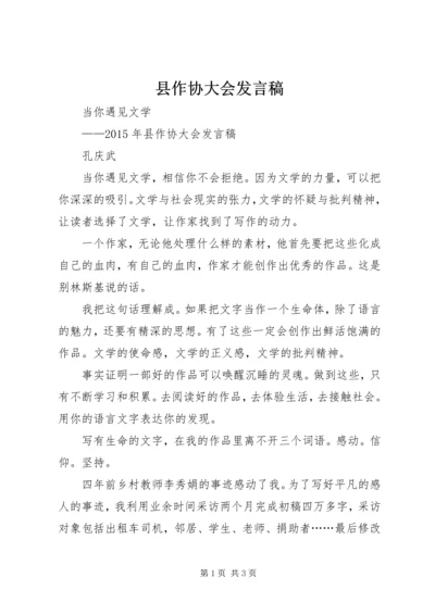 县作协大会发言稿.docx