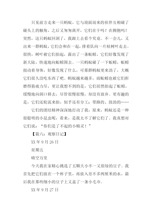 小学四年级观察作文.docx