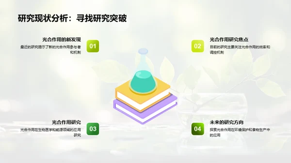 光合作用：生命的能源