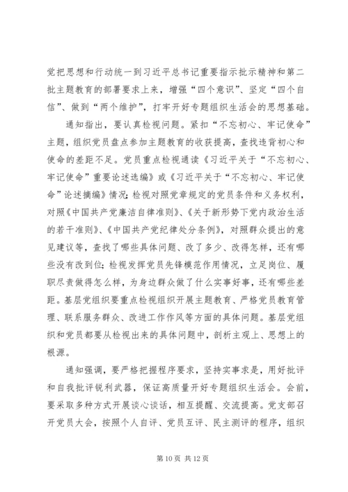 关于如何开好第二批主题教育组织生活会的网评五篇.docx