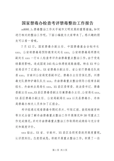 国家禁毒办检查考评禁毒整治工作报告.docx