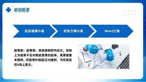 蓝色简约股骨颈骨折课件PPT模板宣传PPT动态PPT