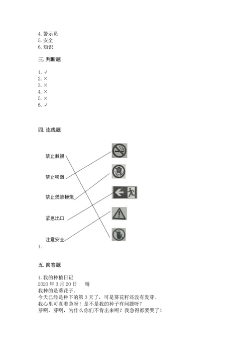 小学二年级下册道德与法治期中测试卷【考试直接用】.docx