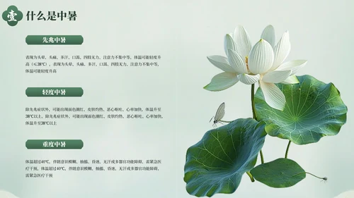 绿色清新夏季防暑降温健康指南PPT模板