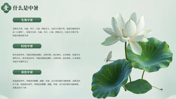 绿色清新夏季防暑降温健康指南PPT模板
