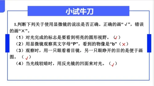 人教版（2024）七年级上册1.2.1 学习使用显微镜 课件(共29张PPT)