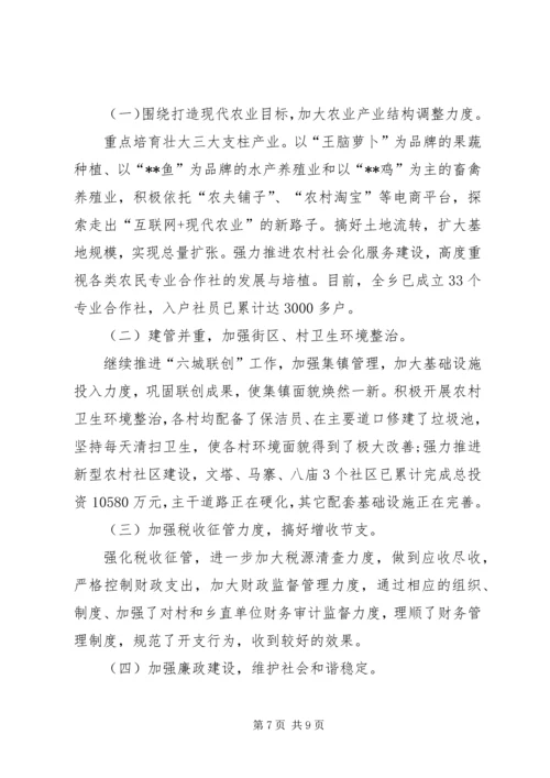 乡镇综合目标运行情况自查报告.docx