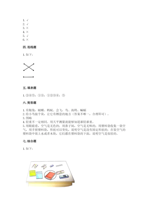 教科版一年级下册科学期末测试卷附参考答案（基础题）.docx